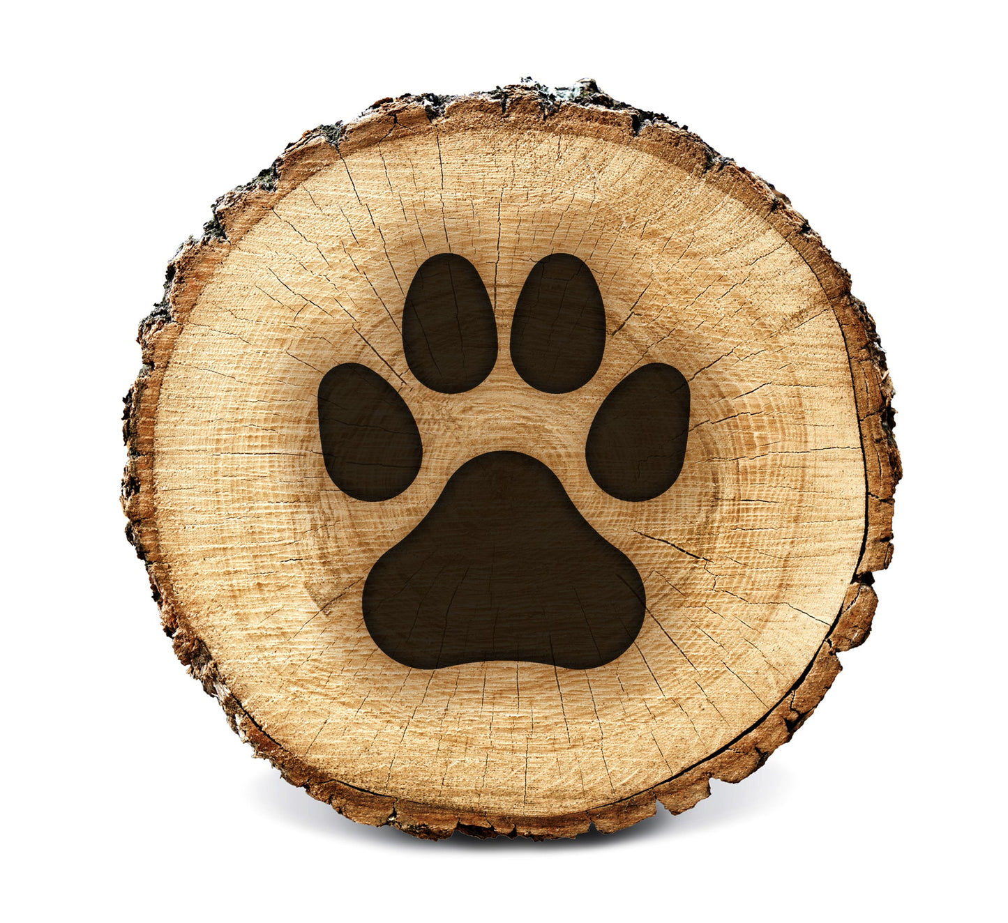 Wood Burning Stencil - Dog Paw