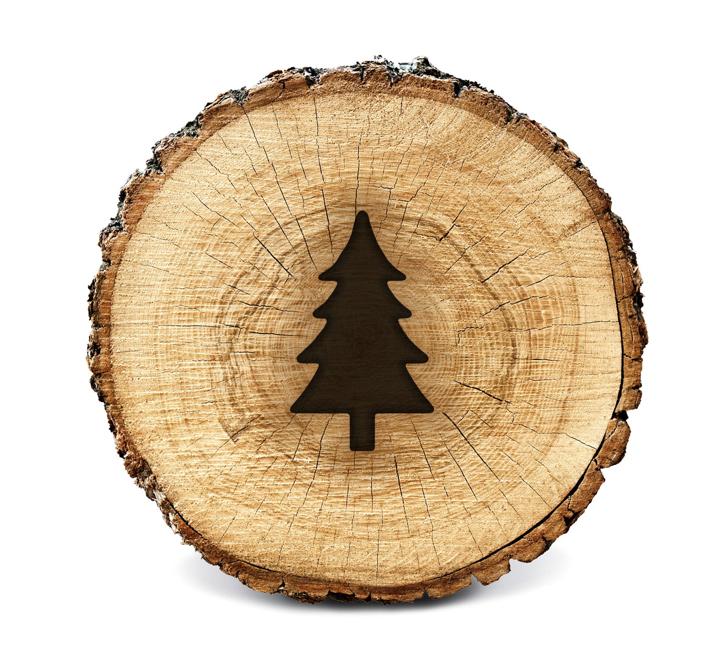 BurnStencil® - Pine Tree