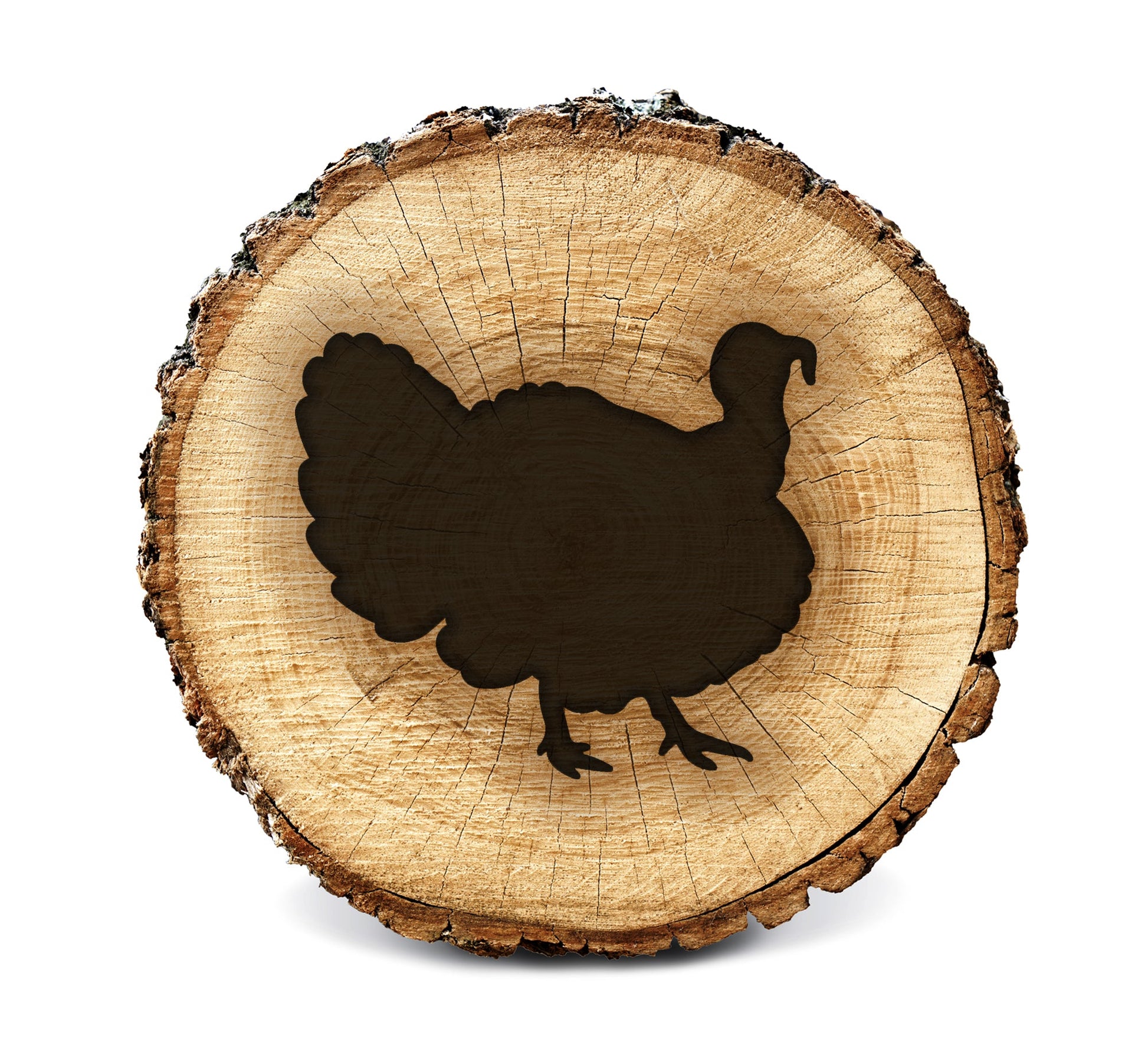 Wood Burning Stencil - Turkey